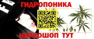 спиды Волжск