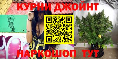 стафф Волгодонск