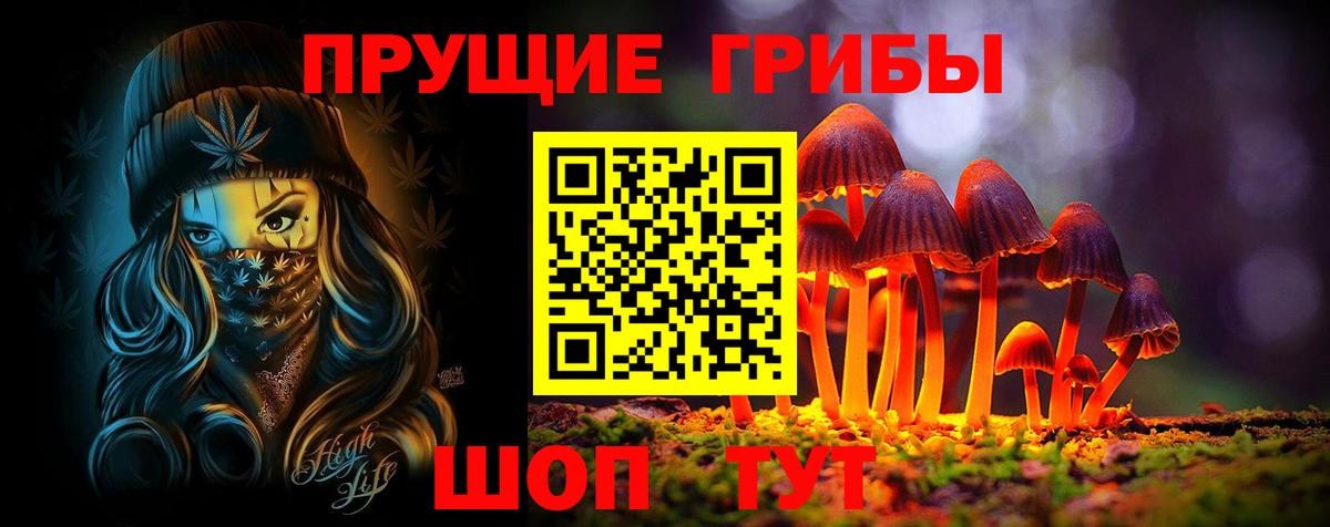 Псилоцибиновые грибы мухоморы  купить наркоту  Новоуральск  Вход с VPN 
